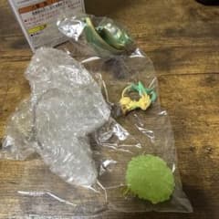 Pokemon GEMSTONE COLLECTION リーフィアのサムネイル