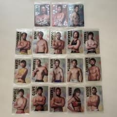 RIZIN トレーディングカード 18枚セット - メルカリ