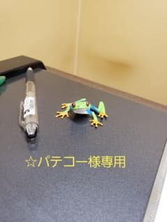 ☆Ploom sスターターキッド☆のサムネイル