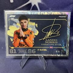 m21924959845_1.jpg?1761566712