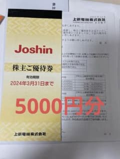 上新電機　株主優待券 5000円分のサムネイル