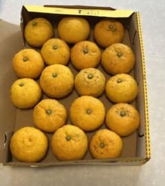 無農薬•種無し柚子　ゆずのサムネイル