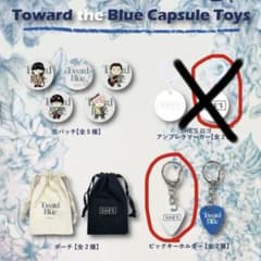 SHE'S グッズ　ピック　キーホルダーのサムネイル