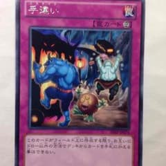 TS.プロフ確認必ず様専用のサムネイル