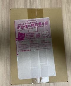 ポケセン産 151 ダンボール未開封 - メルカリ