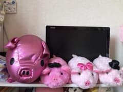 ブタのぬいぐるみのサムネイル