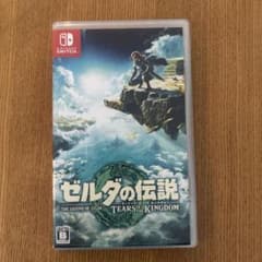 ゼルダの伝説 ティアーズ オブ ザ キングダムのサムネイル