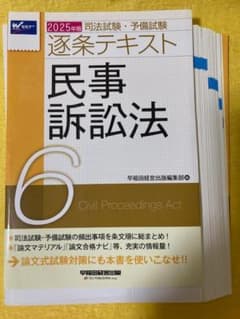 裁断・書き込みなし】2025 逐条テキスト民事訴訟法 - メルカリ