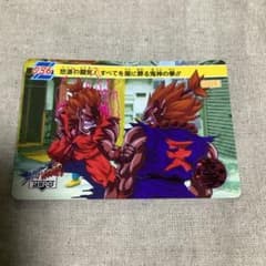 스트리트 파이터 카드 1995년 당시물