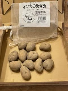 インカのめざめ　種芋のサムネイル