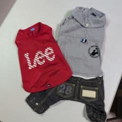 Lee 赤 メッシュ犬用Tシャツ SSサイズのサムネイル