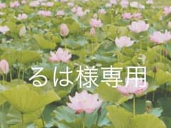 るは様専用のサムネイル
