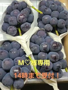 【朝採り:農家直送】9月14日収穫分 岡山県産ピオーネ2kg家庭用×2箱のサムネイル