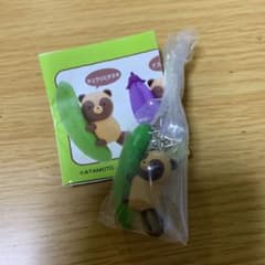 너구리와 여우