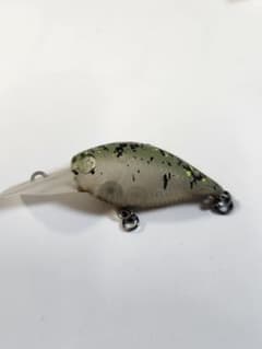 m21964649401_1.jpg?1747220441