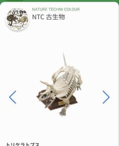 古生物　ネイチャーテクニカラー　トリケラトプスのサムネイル