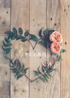 しょこたん専用❁⃘*.゜のサムネイル