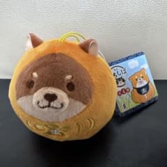 忠犬もちしば だるまさんなりきりマスコット 新品未使用