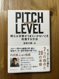 【ハセガワ様専用】PITCH LEVEL: 例えば攻撃がうまくいかないとき改善すのサムネイル