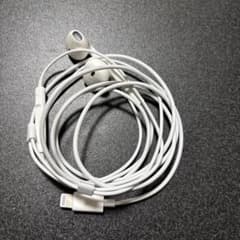 Apple EarPods with Lightning Connectorのサムネイル