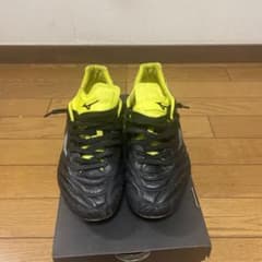 モナルシーダネオジャパンのサムネイル