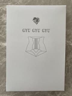 骨盤ショーツ ギュギュギュ GYUのサムネイル