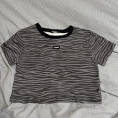 ゼブラ柄 クロップドTシャツのサムネイル