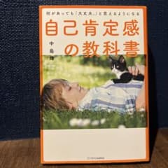 自己肯定感の教科書 中島輝のサムネイル