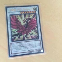 遊戯王月華竜ブラック・ローズのサムネイル