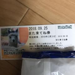 伊豆 アニマルキングダム また来てね券のサムネイル