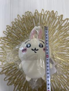 あき様専用です♫のサムネイル