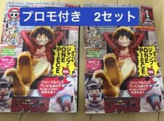 ☆ONE PIECE magazine ワンピースマガジン20号 プロモ付 2冊 - メルカリ