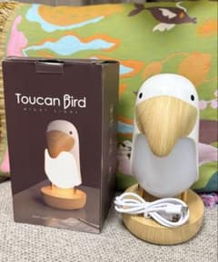 Toucan Bird Night Light トゥーカンライト - 5
