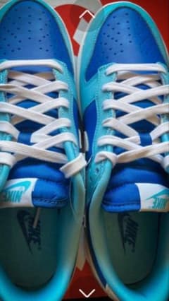 NIKE DUNK LOW RETROQSFLASH/WHITE-ARGONのサムネイル