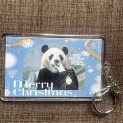アドベンチャーワールド パンダ 楓浜 限定キーホルダー ファミリー
