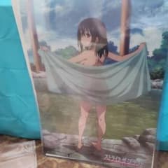 姫柊雪菜クリアポスターのサムネイル