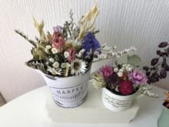 カフェ＊オレンジ様専用のサムネイル