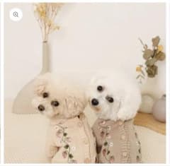 ペット用 いちご刺繍 ニットカーディガン 犬服 モンシェリ　Lサイズのサムネイル