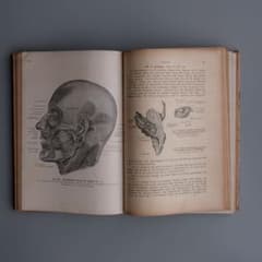 激レア！ドイツ 19世紀 アンティーク 洋書 医学 薬学 医療 古書 広告 IMAGE OF MEDICINE 19世紀の解剖図と医学書の図版 洋書 – 古書ドリス
