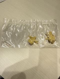 ニホンヤモリ カプセルトイ