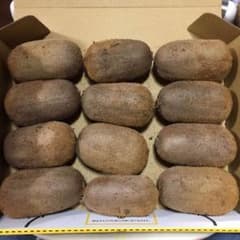 細いキウイ 【みー様専用】のサムネイル