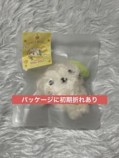 NCT WISH WISH DOLL RYO リョウ ぬいぐるみ NCT WISH POCKET WISH DOLL RYO リョウ ぬいぐるみ - メルカリ