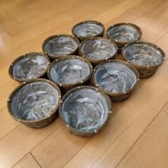 園芸用バスケット 10個セット インナーライナー付きのサムネイル