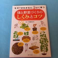 畑と野菜づくりのしくみとコツ : なぜ?がわかると、よく育つのサムネイル