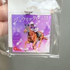 今村聖奈騎手 ジュウリョクピエロ アンブレラマーカー オークス - メルカリ