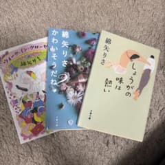 綿矢りさ 作品集 3冊セットのサムネイル