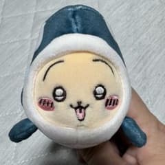 치이카와 수족관 샤치나 토끼