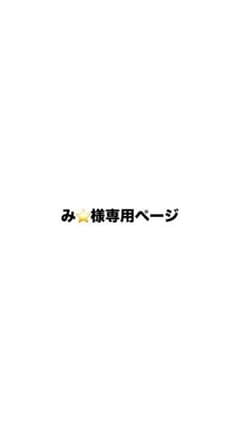 み⭐様 専用ページのサムネイル