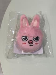 Stray Kids popup マグネット チャンビン　トゥェッキのサムネイル