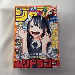 週刊少年ジャンプ 2022年28号 新連載 ルリドラゴン - メルカリ